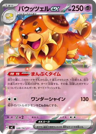 Dachsbun ex (Japanese)  348/742 - [Start Deck 100 Battle Collection]