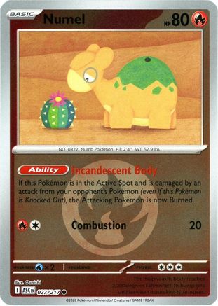 Numel (Energy Symbol Pattern) - (027/217) Reverse Holofoil [ME Ascended Heroes] - Trinity Hobby