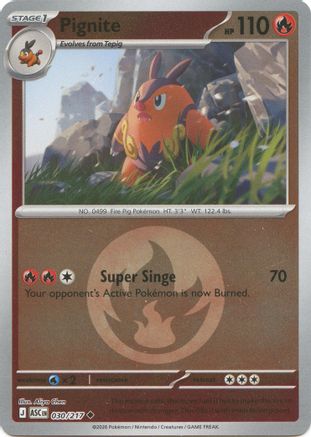 Pignite (Energy Symbol Pattern) - (030) Reverse Holofoil [ME Ascended Heroes]