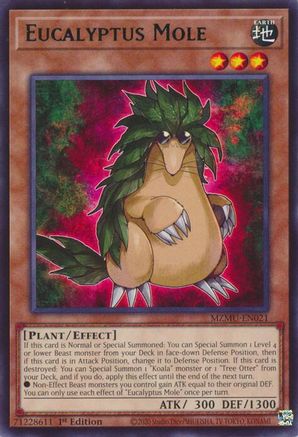 Eucalyptus Mole [MZMU-EN021] - Maze of Muertos 1st Edition - Rare - Trinity Hobby