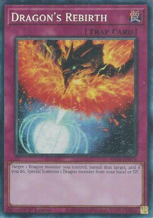 Dragon's Rebirth (Collector's Rare) [RA05-EN078] - Rarity Collection 5 1st Edition - Collector's Rare - Trinity Hobby