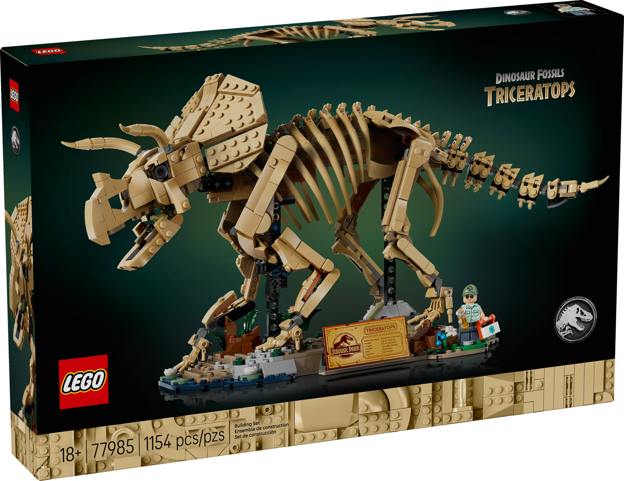77985 Dinosaur Fossils: Triceratops