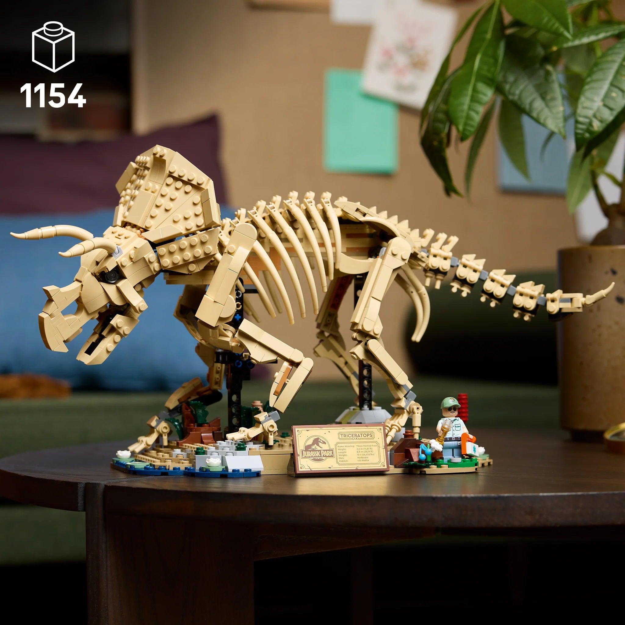 77985 Dinosaur Fossils: Triceratops