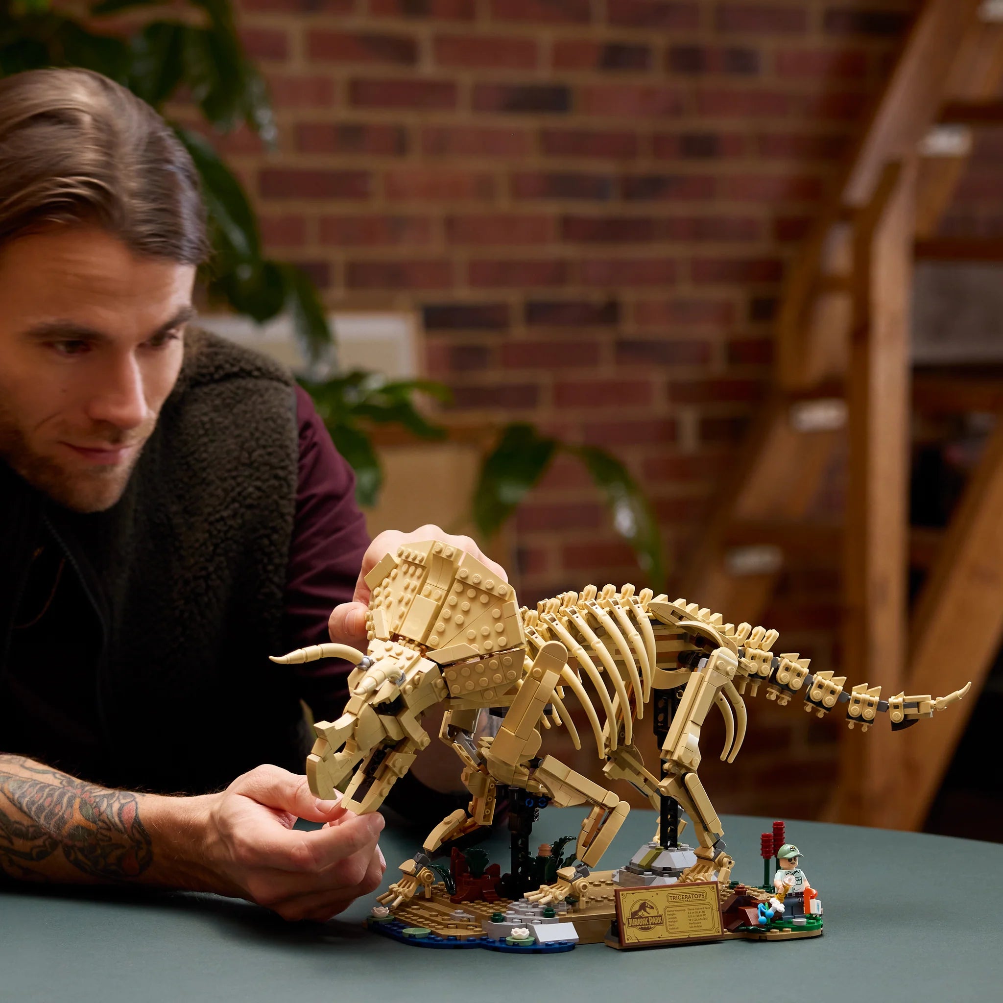 77985 Dinosaur Fossils: Triceratops