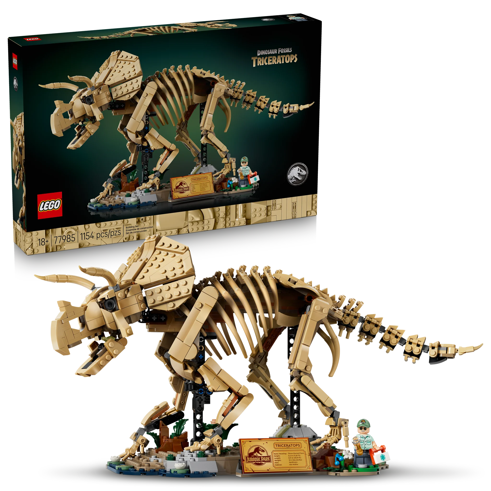 77985 Dinosaur Fossils: Triceratops