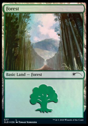 Forest (Walls) (577) [Secret Lair Drop Promos] - Trinity Hobby