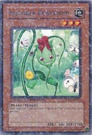 Naturia Rosewhip [DT02-EN071] Rare - Trinity Hobby