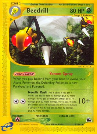 Beedrill (5/144) [Skyridge] - Trinity Hobby