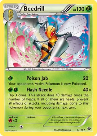 Beedrill (5/146) [XY: Base Set] - Trinity Hobby
