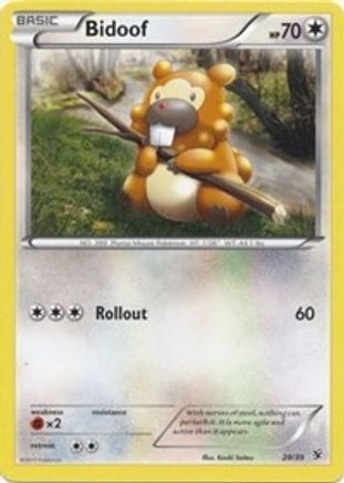 Bidoof (29/39) [XY: Kalos Starter Set] - Trinity Hobby