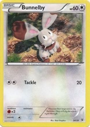 Bunnelby (30/39) [XY: Kalos Starter Set] - Trinity Hobby