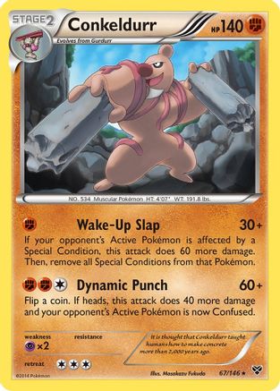 Conkeldurr (67/146) [XY: Base Set] - Trinity Hobby