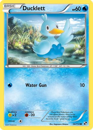 Ducklett (36/114) [Black & White: Base Set] - Trinity Hobby