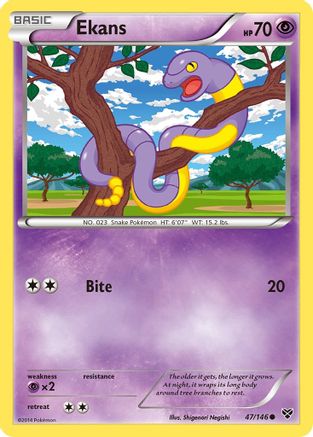 Ekans (47/146) [XY: Base Set] - Trinity Hobby
