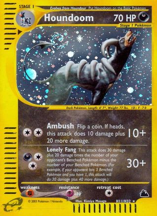 Houndoom (H11/H32) [Skyridge] - Trinity Hobby