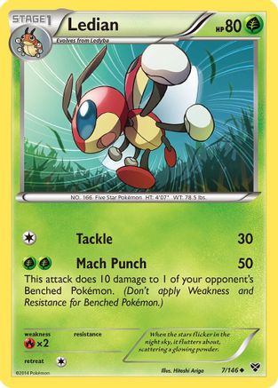 Ledian (7/146) [XY: Base Set] - Trinity Hobby