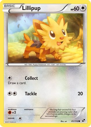 Lillipup (81/114) [Black & White: Base Set] - Trinity Hobby