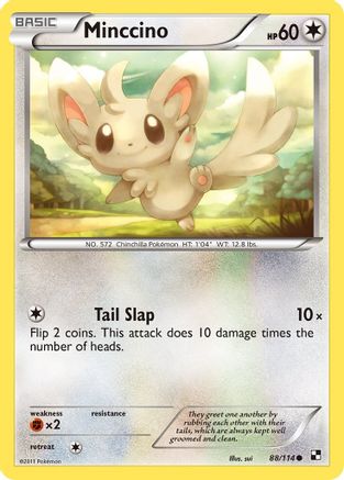 Minccino (88/114) [Black & White: Base Set] - Trinity Hobby
