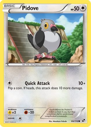 Pidove (84/114) [Black & White: Base Set] - Trinity Hobby