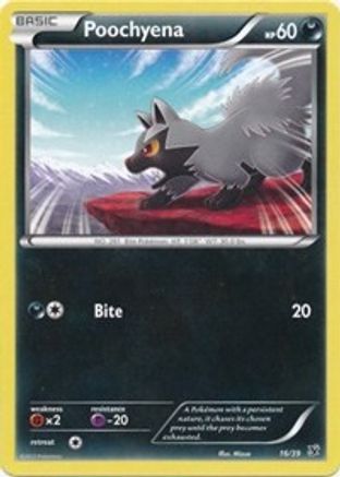 Poochyena (16/39) [XY: Kalos Starter Set] - Trinity Hobby