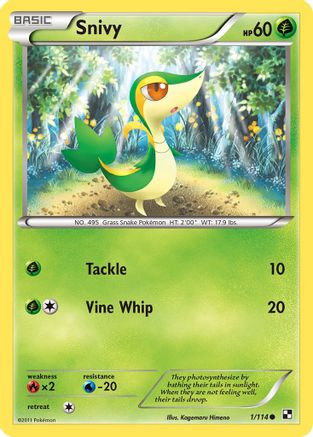 Snivy (1/114) [Black & White: Base Set] - Trinity Hobby