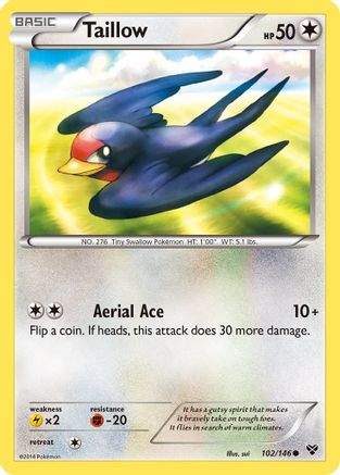 Taillow (102/146) [XY: Base Set] - Trinity Hobby