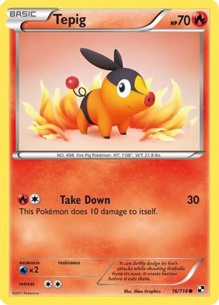 Tepig (16/114) [Black & White: Base Set] - Trinity Hobby