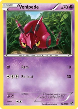 Venipede (52/114) [Black & White: Base Set] - Trinity Hobby