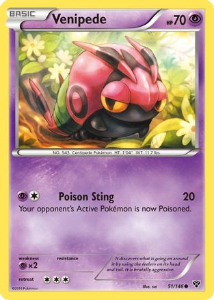 Venipede (51/146) [XY: Base Set] - Trinity Hobby