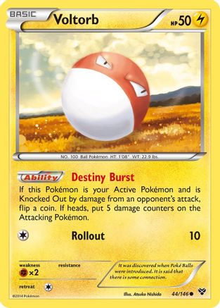 Voltorb (44/146) [XY: Base Set] - Trinity Hobby