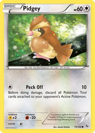 Pidgey (75/106) [XY: Flashfire] - Trinity Hobby
