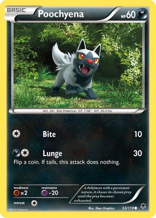 Poochyena (53/119) [XY: Phantom Forces] - Trinity Hobby