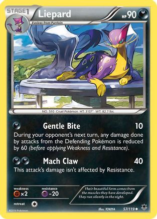 Liepard (57/119) [XY: Phantom Forces] - Trinity Hobby