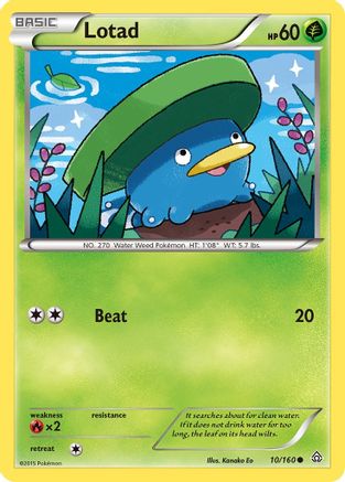 Lotad (10/160) [XY: Primal Clash] - Trinity Hobby
