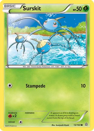 Surskit (13/160) [XY: Primal Clash] - Trinity Hobby