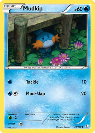 Mudkip (33/160) [XY: Primal Clash] - Trinity Hobby