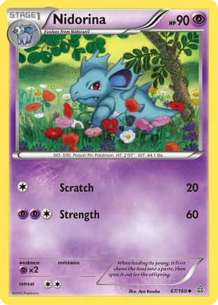 Nidorina (67/160) [XY: Primal Clash] - Trinity Hobby