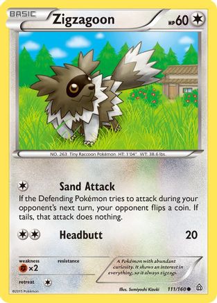 Zigzagoon (111/160) [XY: Primal Clash] - Trinity Hobby