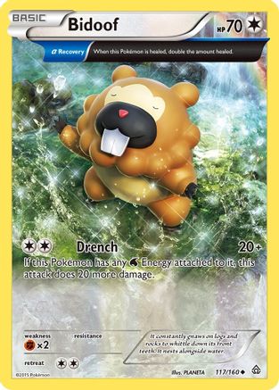 Bidoof (117/160) [XY: Primal Clash] - Trinity Hobby