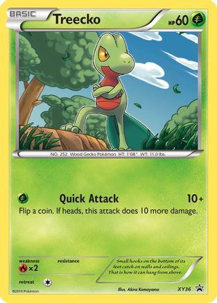 Treecko (XY36) [XY: Black Star Promos] - Trinity Hobby