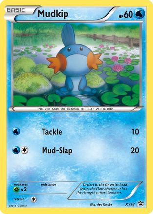 Mudkip (XY38) [XY: Black Star Promos] - Trinity Hobby