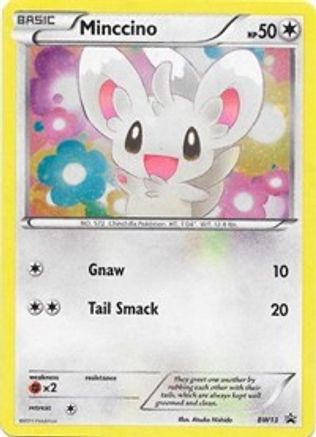 Minccino (BW13) (Cracked Ice Holo) [Black & White: Black Star Promos] - Trinity Hobby