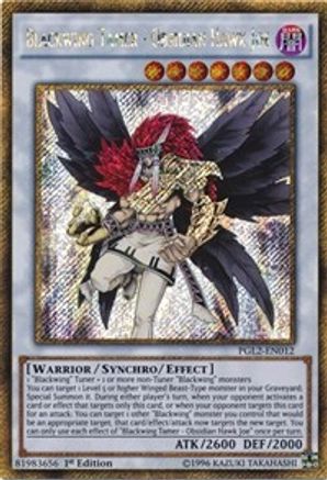 Blackwing Tamer - Obsidian Hawk Joe [PGL2-EN012] Gold Secret Rare - Trinity Hobby