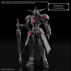 30MF CLASS UP ARMOR (ROSAN PALADIN)