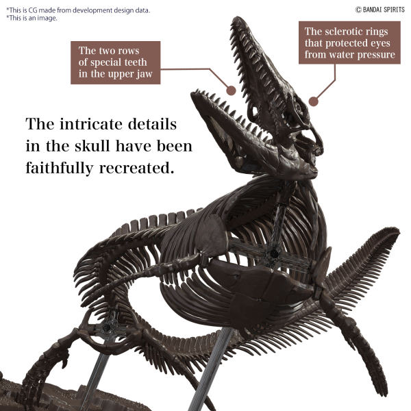 BANDAI 1/32 Imaginary Skeleton Mosasaurus - Trinity Hobby