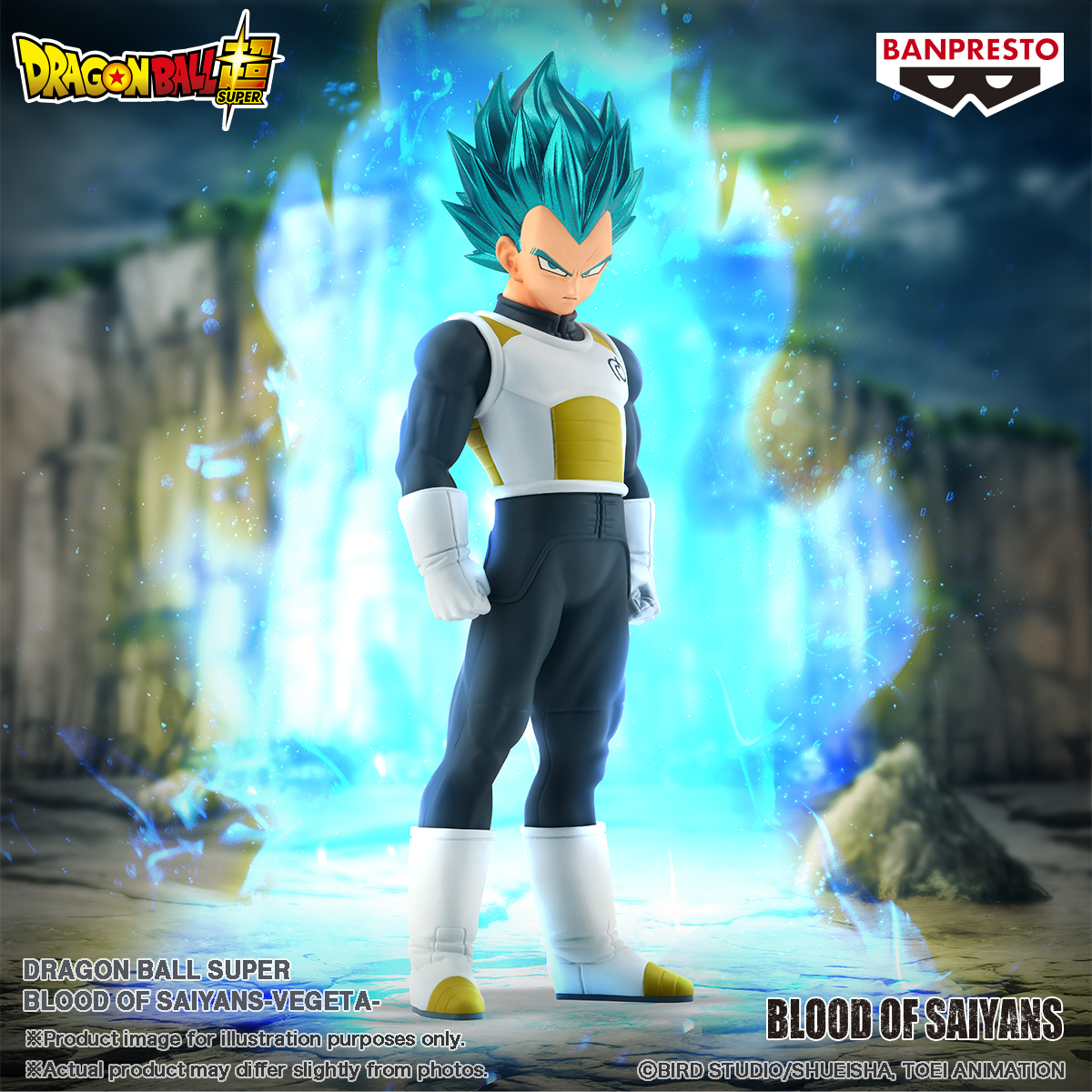 DRAGON BALL SUPER BLOOD OF SAIYANS-VEGETA- - Trinity Hobby