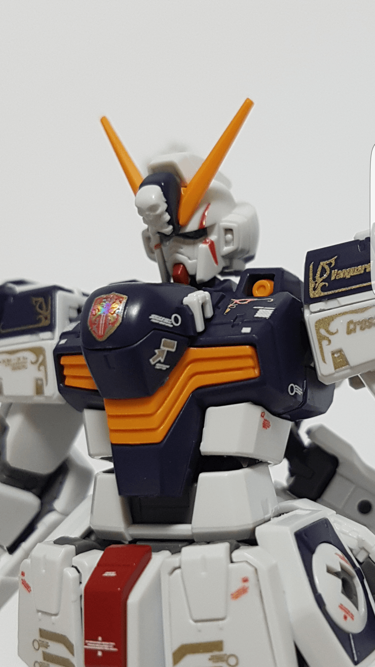 RG CROSSBONE X1 HOLO(Poligonal) WATER DECAL - Trinity Hobby