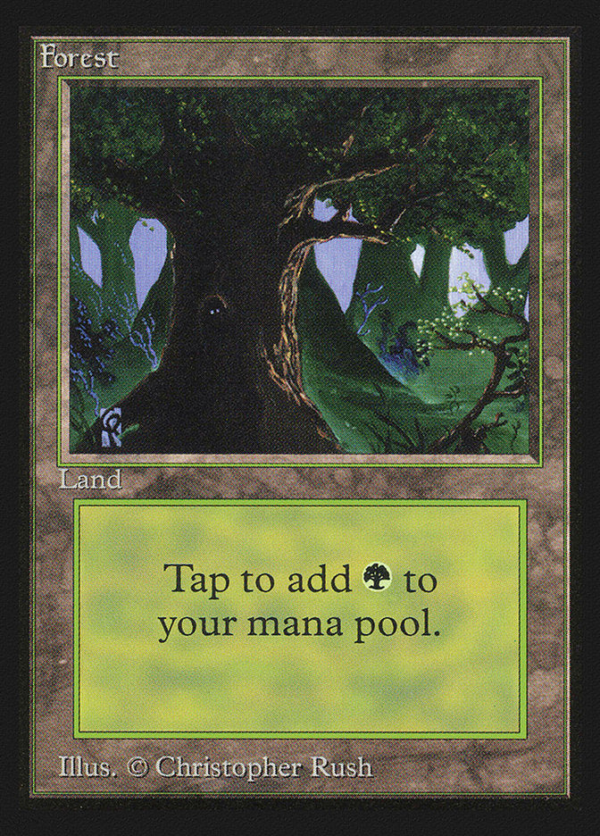 Forest (Eyes in Tree) [Collectors' Edition] - Trinity Hobby