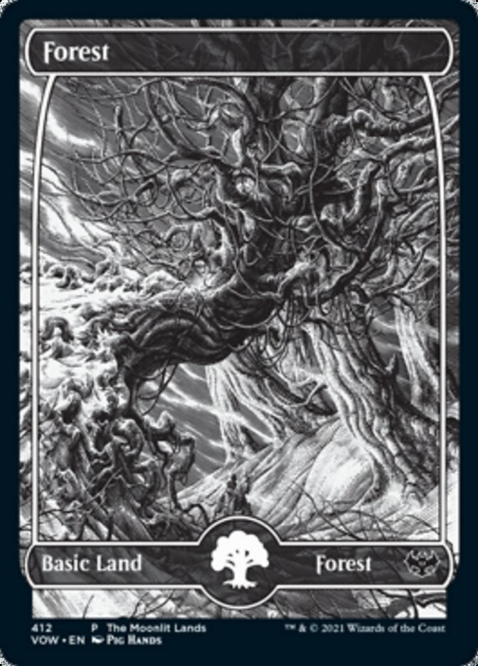 Forest (The Moonlit Lands) (Foil Etched) [Innistrad: Crimson Vow Promos] - Trinity Hobby