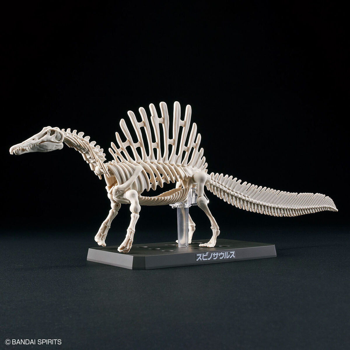 Imaginary Skeleton 	PLANNOSAURUS Spinosaurus - Trinity Hobby